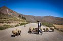 16 Colca Canyon